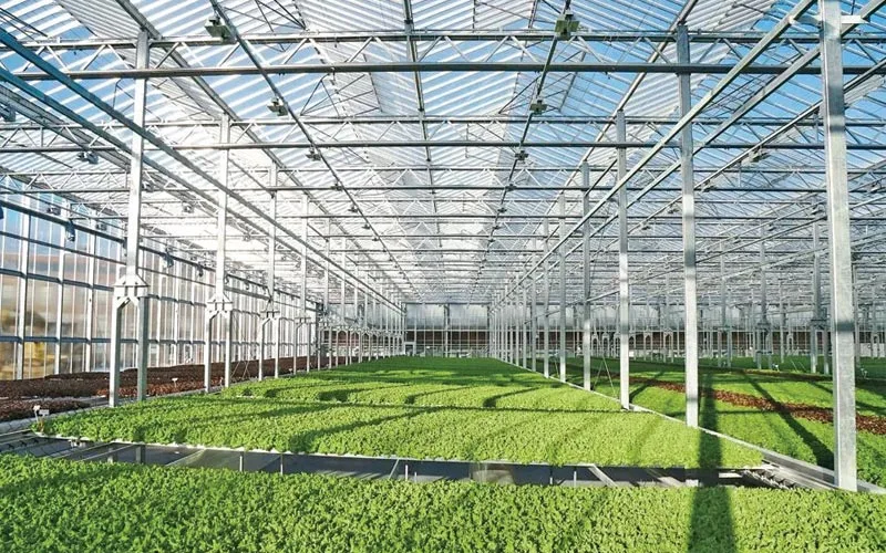Application